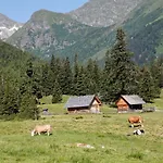 Alpenhotel & Lanz Hotel