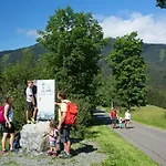 Hotel Alpenhotel & Lanz 3*