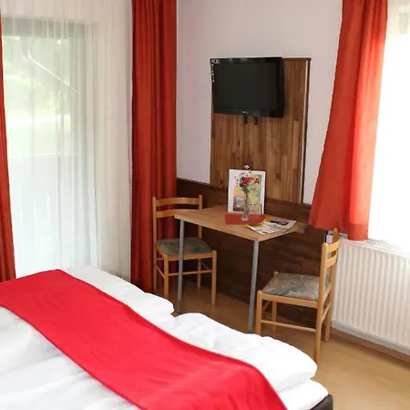 Hotel Alpenhotel Lanz 3*