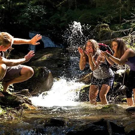 Alpenhotel Lanz Hotel Hohentauern