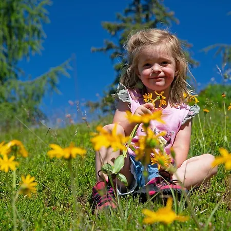 Alpenhotel Lanz Hotel 3*