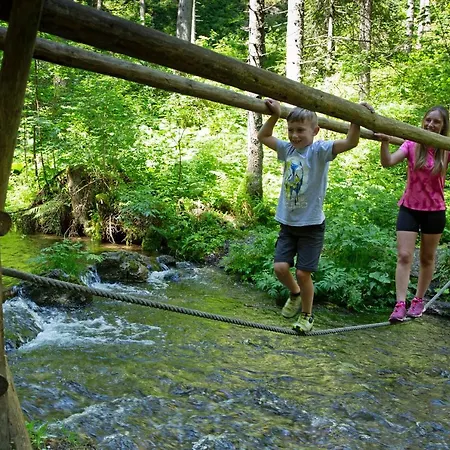 Hotel Alpenhotel Lanz Hohentauern