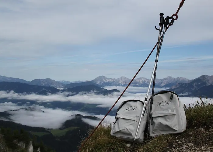 Hotel Alpenhotel & Lanz 3*