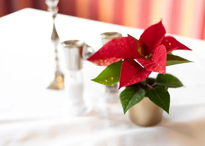 Alpenhotel & Lanz Hohentauern