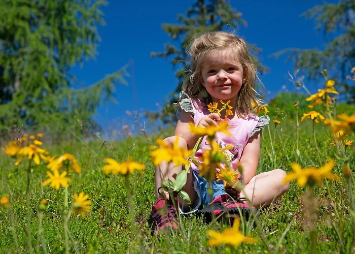 Alpenhotel & Lanz Hotel 3*